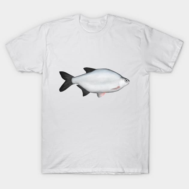 Silver Bream T-Shirt by FishFolkArt